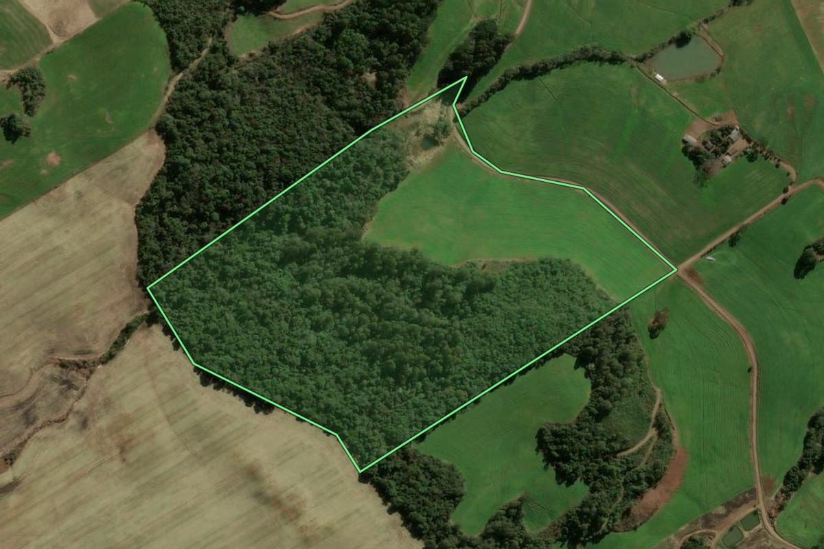 Imagem de satélite do imóvel rural em Faxinal dos Guedes (SC), com o contorno declarado no CAR desenhado por cima.