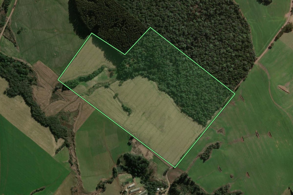 Imagem de satélite do imóvel rural em Faxinal dos Guedes (SC), com o contorno declarado no CAR desenhado por cima.