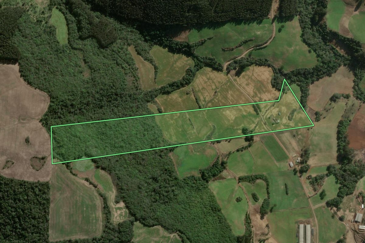 Imagem de satélite do imóvel rural em Faxinal dos Guedes (SC), com o contorno declarado no CAR desenhado por cima.