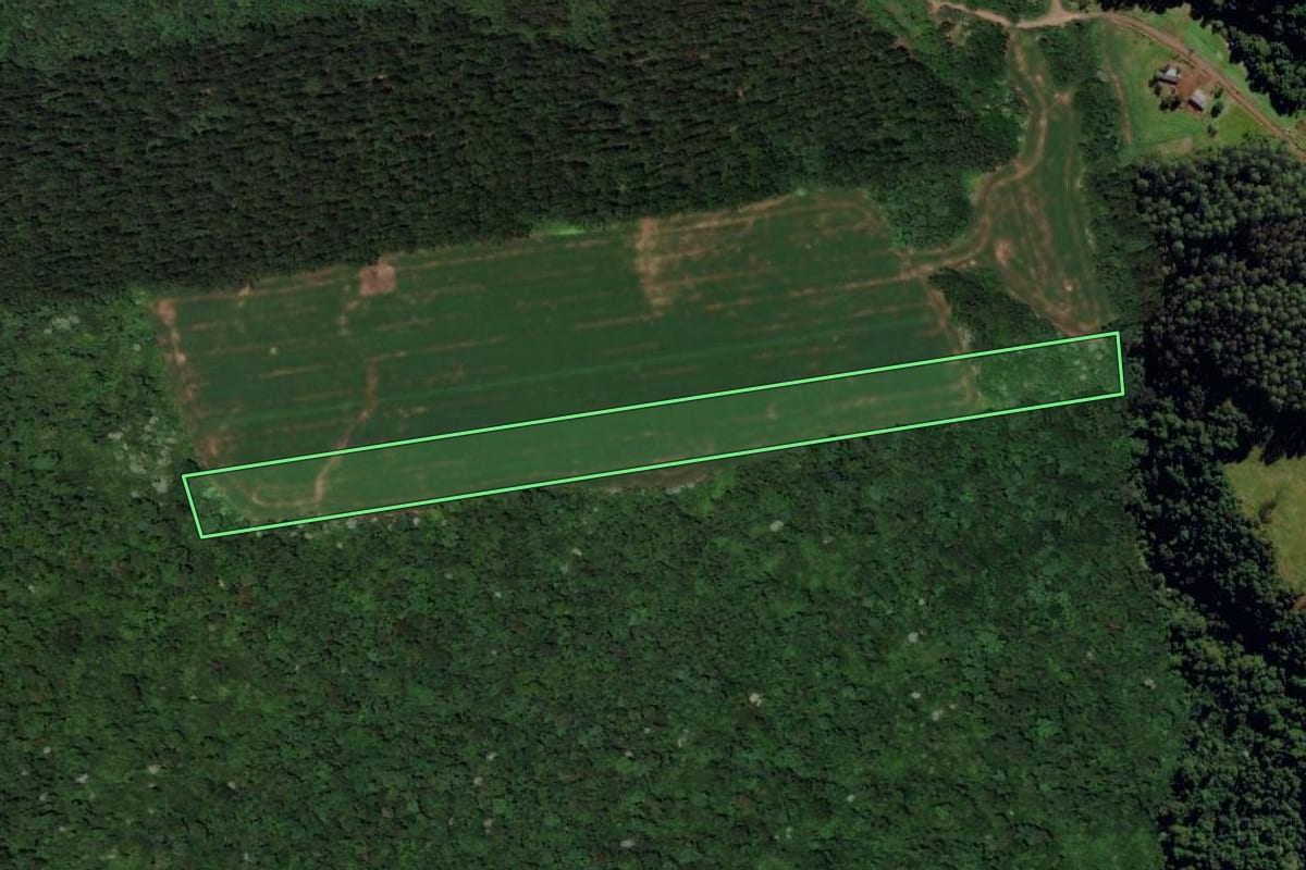 Imagem de satélite do imóvel rural em Flor do Sertão (SC), com o contorno declarado no CAR desenhado por cima.