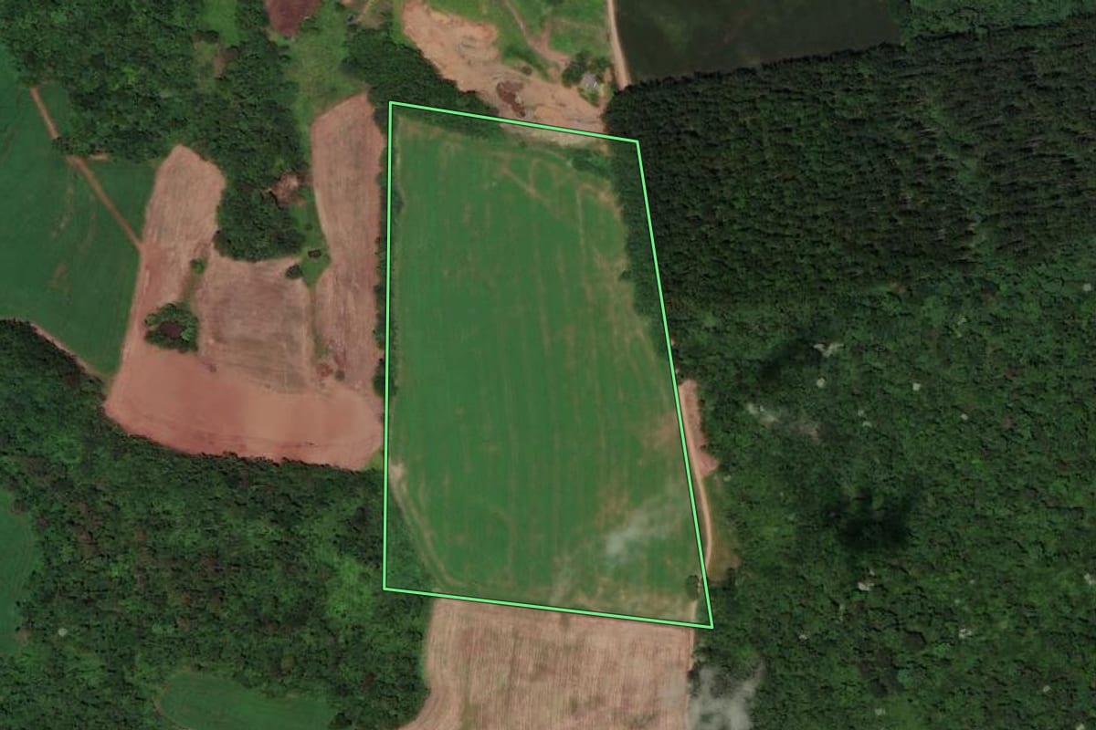 Imagem de satélite do imóvel rural em Flor do Sertão (SC), com o contorno declarado no CAR desenhado por cima.