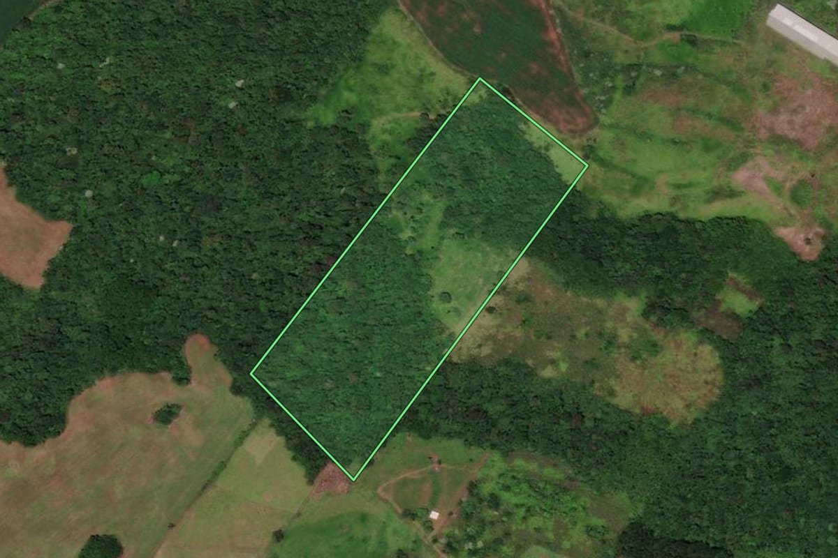 Imagem de satélite do imóvel rural em Flor do Sertão (SC), com o contorno declarado no CAR desenhado por cima.