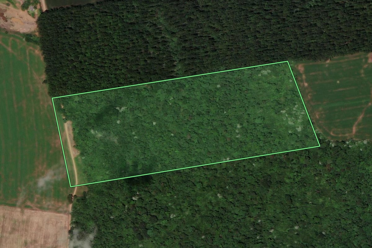 Imagem de satélite do imóvel rural em Flor do Sertão (SC), com o contorno declarado no CAR desenhado por cima.