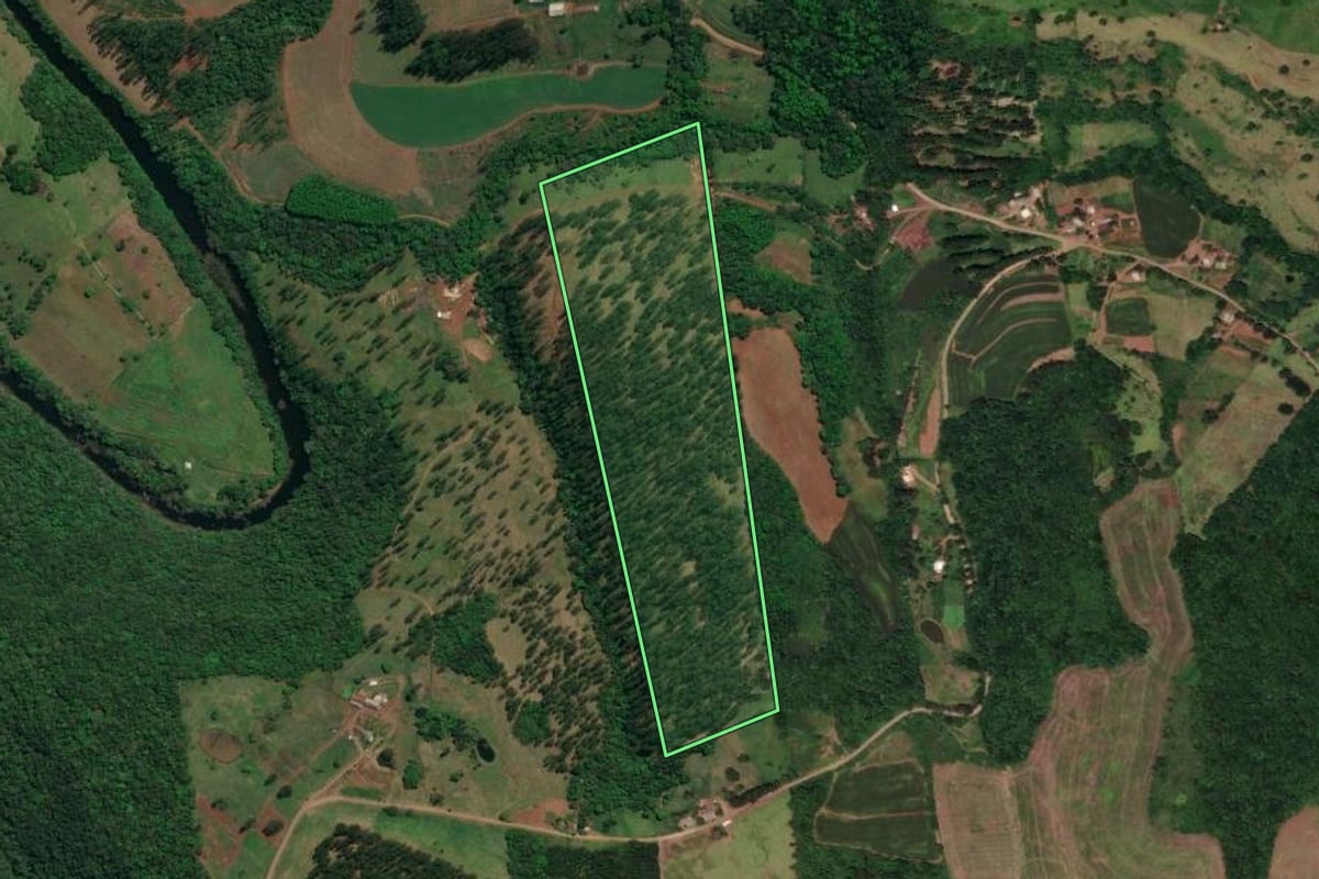 Imagem de satélite do imóvel rural em Flor do Sertão (SC), com o contorno declarado no CAR desenhado por cima.