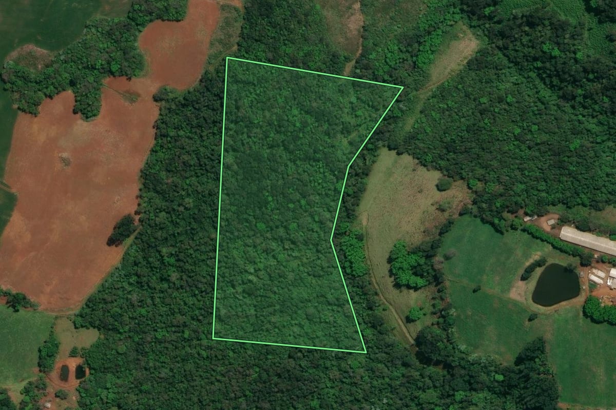 Imagem de satélite do imóvel rural em Flor do Sertão (SC), com o contorno declarado no CAR desenhado por cima.