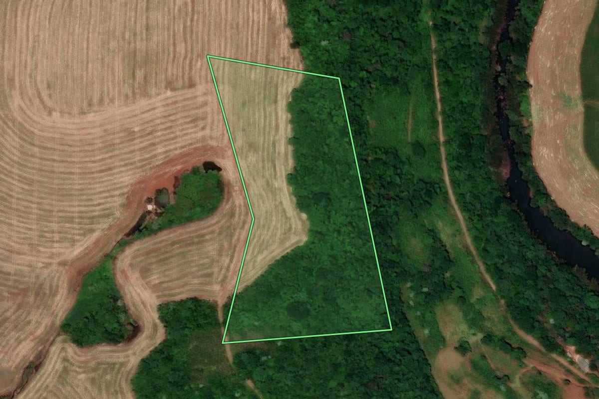 Imagem de satélite do imóvel rural em Flor do Sertão (SC), com o contorno declarado no CAR desenhado por cima.