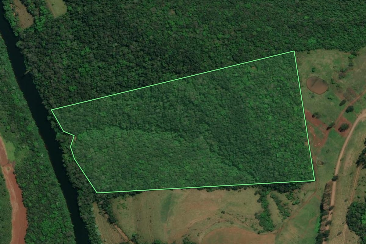 Imagem de satélite do imóvel rural em Flor do Sertão (SC), com o contorno declarado no CAR desenhado por cima.