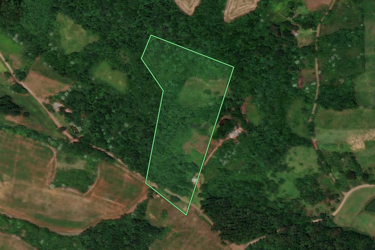 Imagem de satélite do imóvel rural em Flor do Sertão (SC), com o contorno declarado no CAR desenhado por cima.