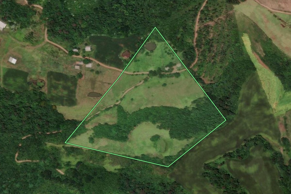 Imagem de satélite do imóvel rural em Flor do Sertão (SC), com o contorno declarado no CAR desenhado por cima.