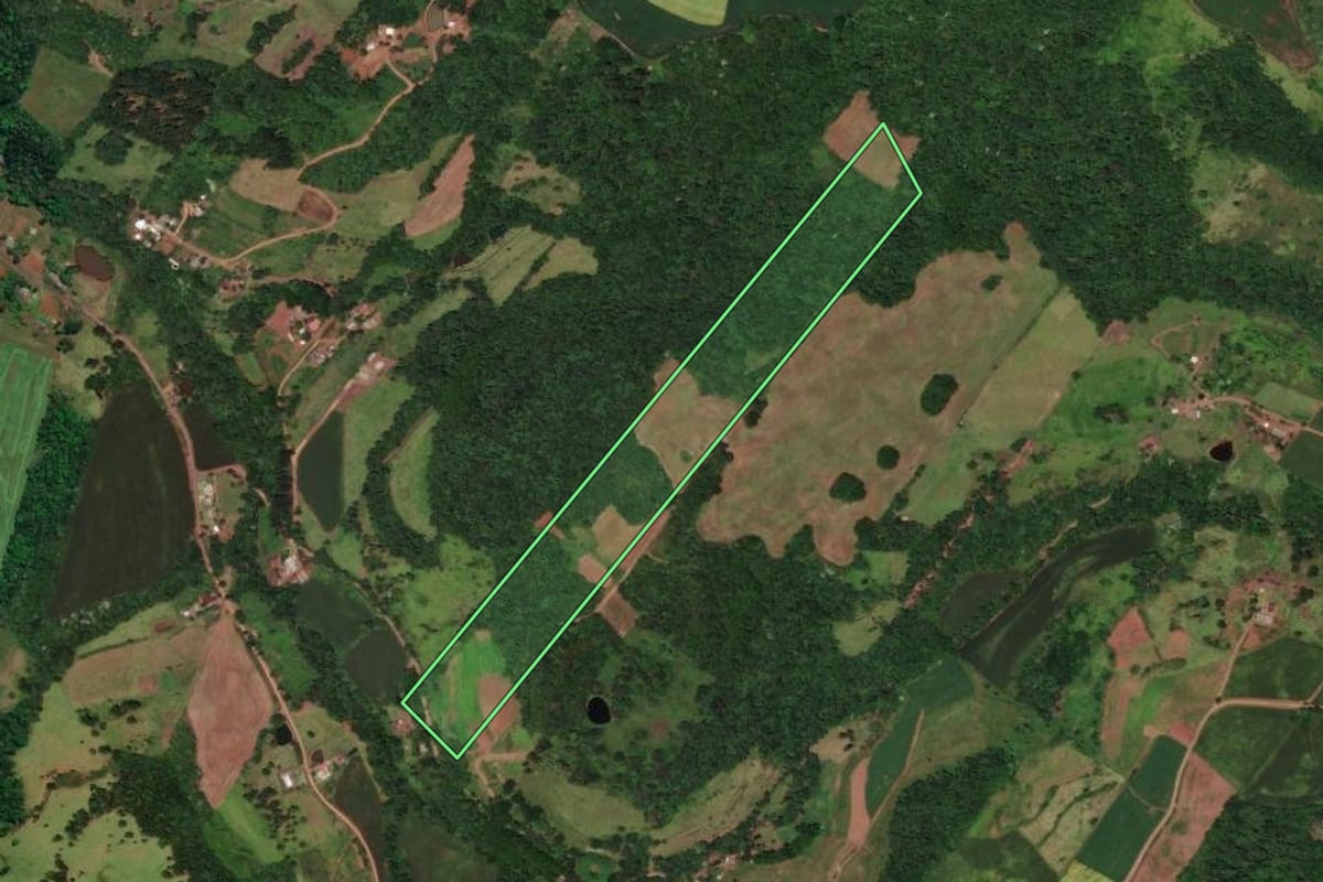 Imagem de satélite do imóvel rural em Flor do Sertão (SC), com o contorno declarado no CAR desenhado por cima.
