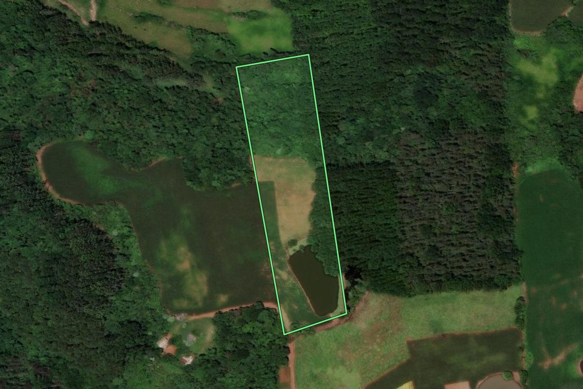 Imagem de satélite do imóvel rural em Flor do Sertão (SC), com o contorno declarado no CAR desenhado por cima.