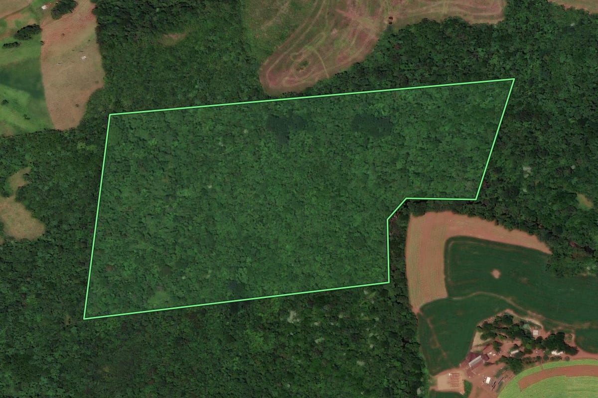 Imagem de satélite do imóvel rural em Flor do Sertão (SC), com o contorno declarado no CAR desenhado por cima.