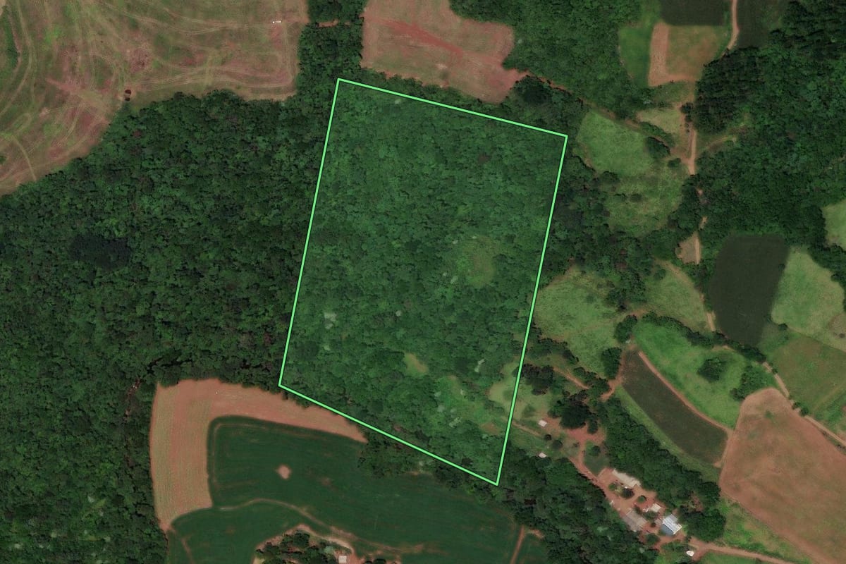 Imagem de satélite do imóvel rural em Flor do Sertão (SC), com o contorno declarado no CAR desenhado por cima.