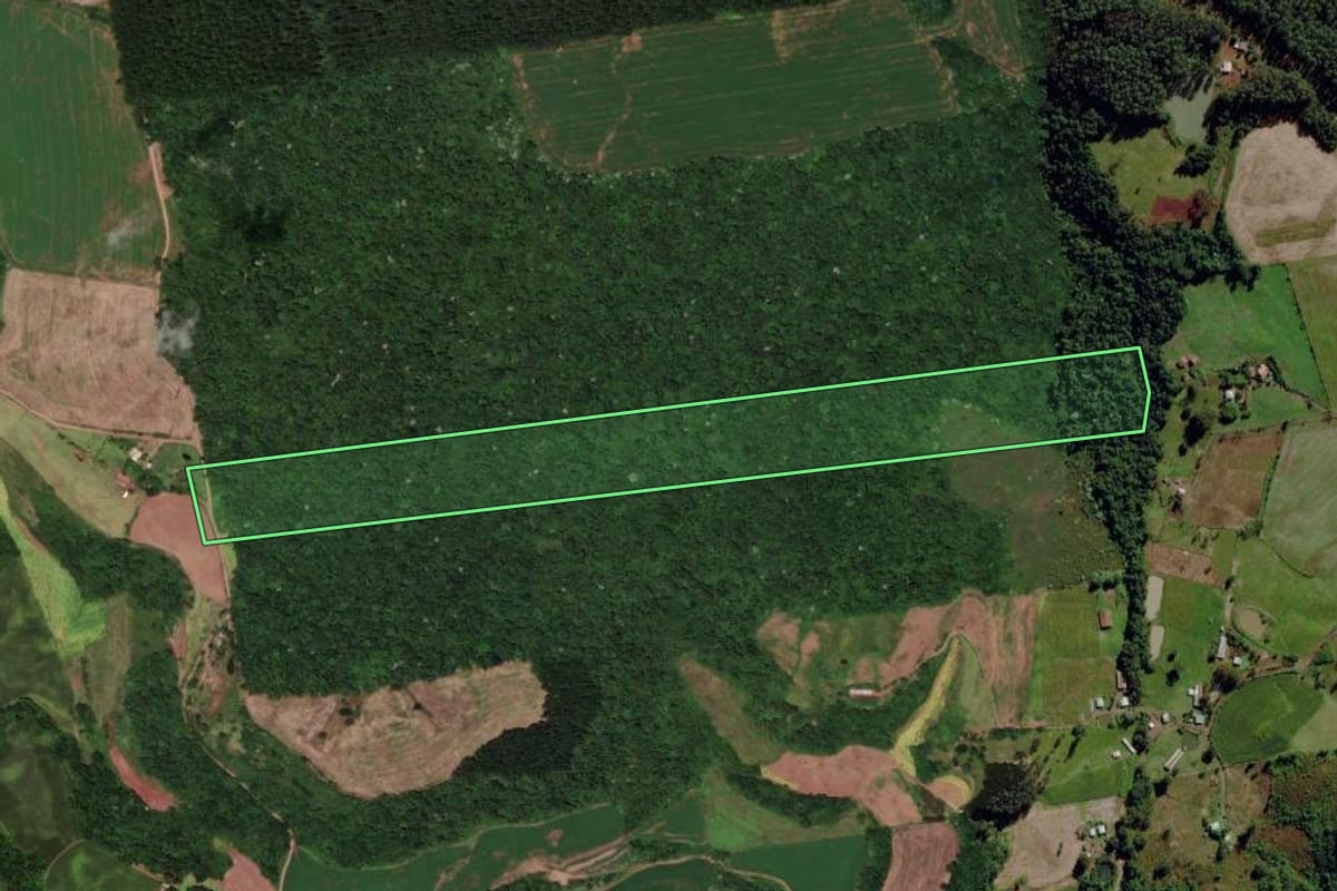 Imagem de satélite do imóvel rural em Flor do Sertão (SC), com o contorno declarado no CAR desenhado por cima.
