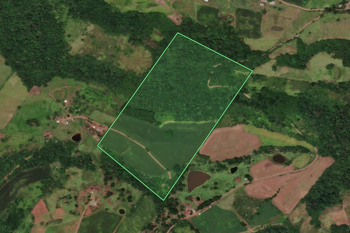 Imagem de satélite do imóvel rural em Flor do Sertão (SC), com o contorno declarado no CAR desenhado por cima.