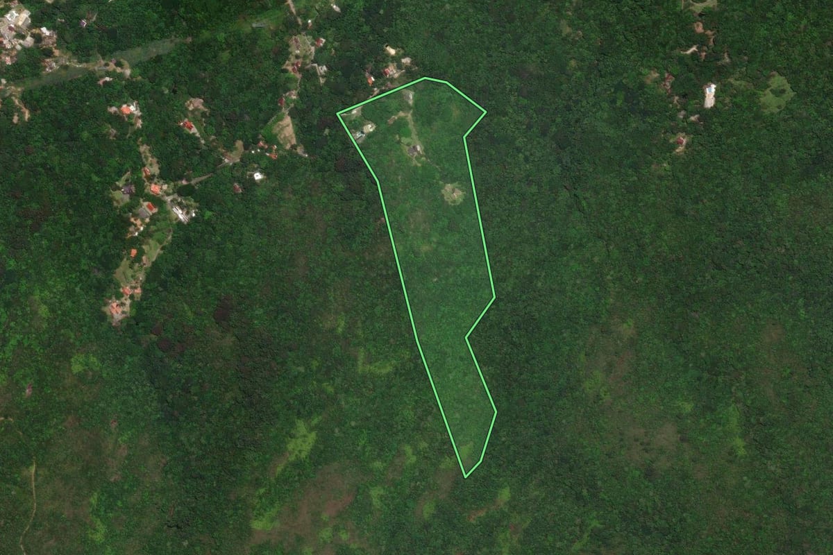 Imagem de satélite do imóvel rural em Florianópolis (SC), com o contorno declarado no CAR desenhado por cima.