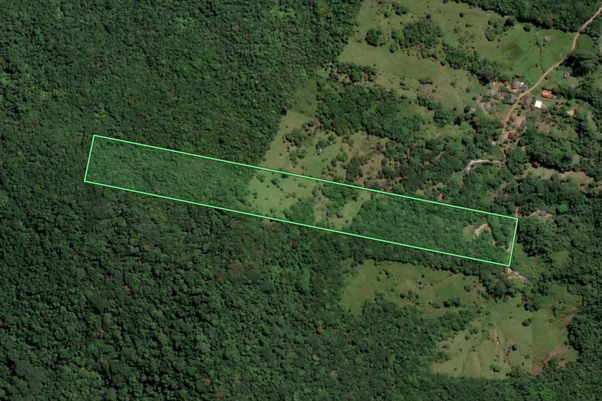 Imagem de satélite do imóvel rural em Florianópolis (SC), com o contorno declarado no CAR desenhado por cima.