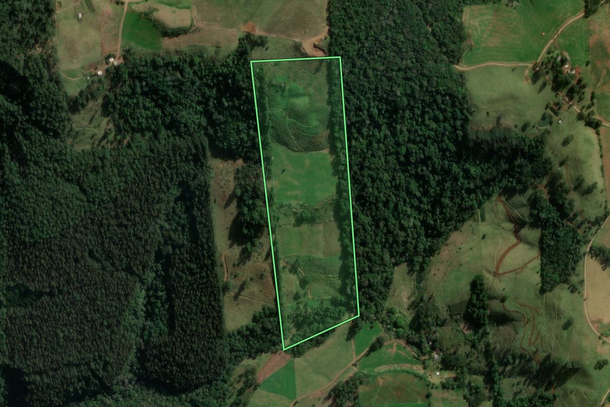 Imagem de satélite do imóvel rural em Formosa do Sul (SC), com o contorno declarado no CAR desenhado por cima.
