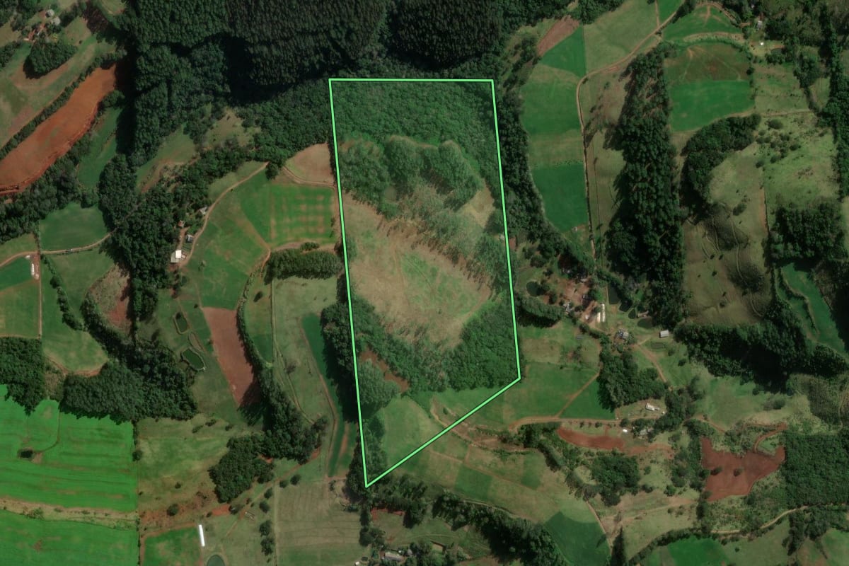 Imagem de satélite do imóvel rural em Formosa do Sul (SC), com o contorno declarado no CAR desenhado por cima.