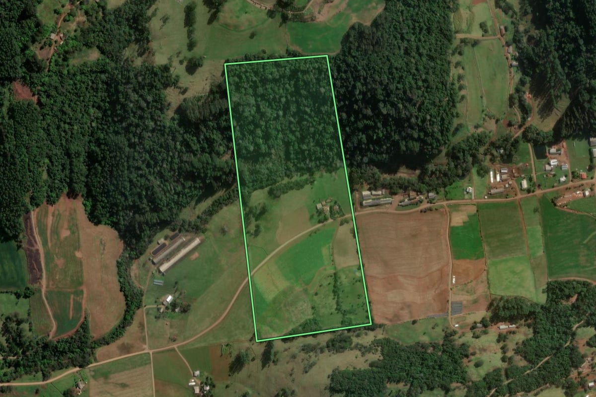Imagem de satélite do imóvel rural em Formosa do Sul (SC), com o contorno declarado no CAR desenhado por cima.