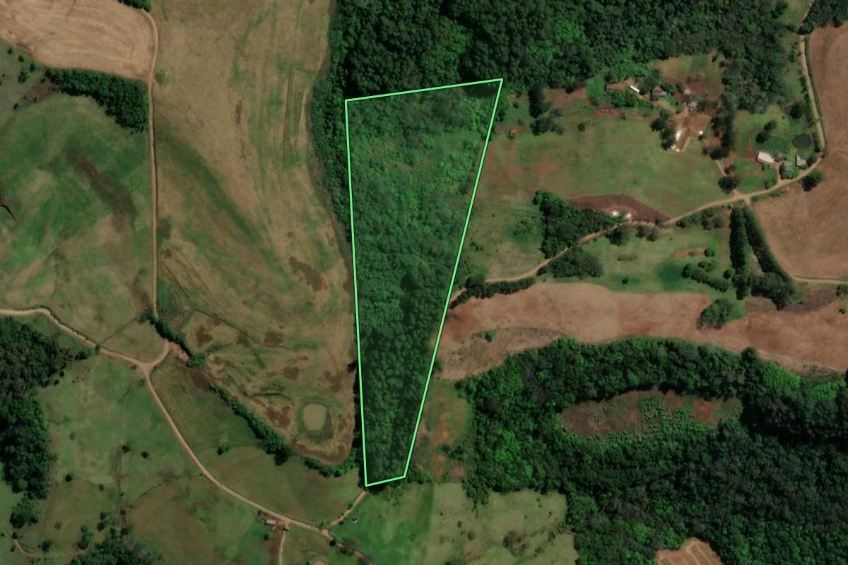 Imagem de satélite do imóvel rural em Formosa do Sul (SC), com o contorno declarado no CAR desenhado por cima.