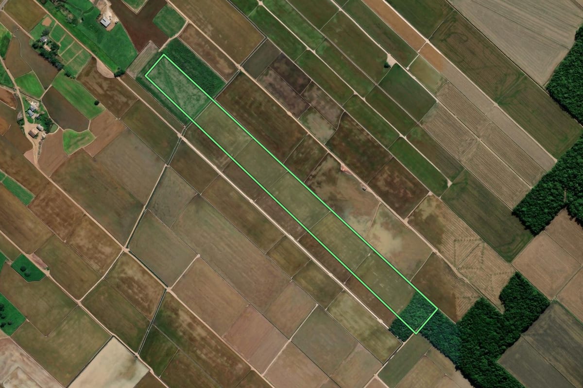 Imagem de satélite do imóvel rural em Forquilhinha (SC), com o contorno declarado no CAR desenhado por cima.