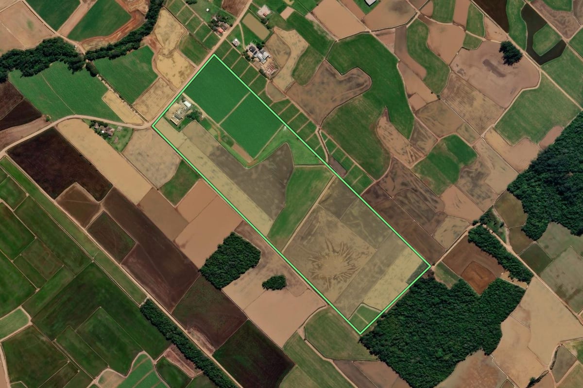 Imagem de satélite do imóvel rural em Forquilhinha (SC), com o contorno declarado no CAR desenhado por cima.