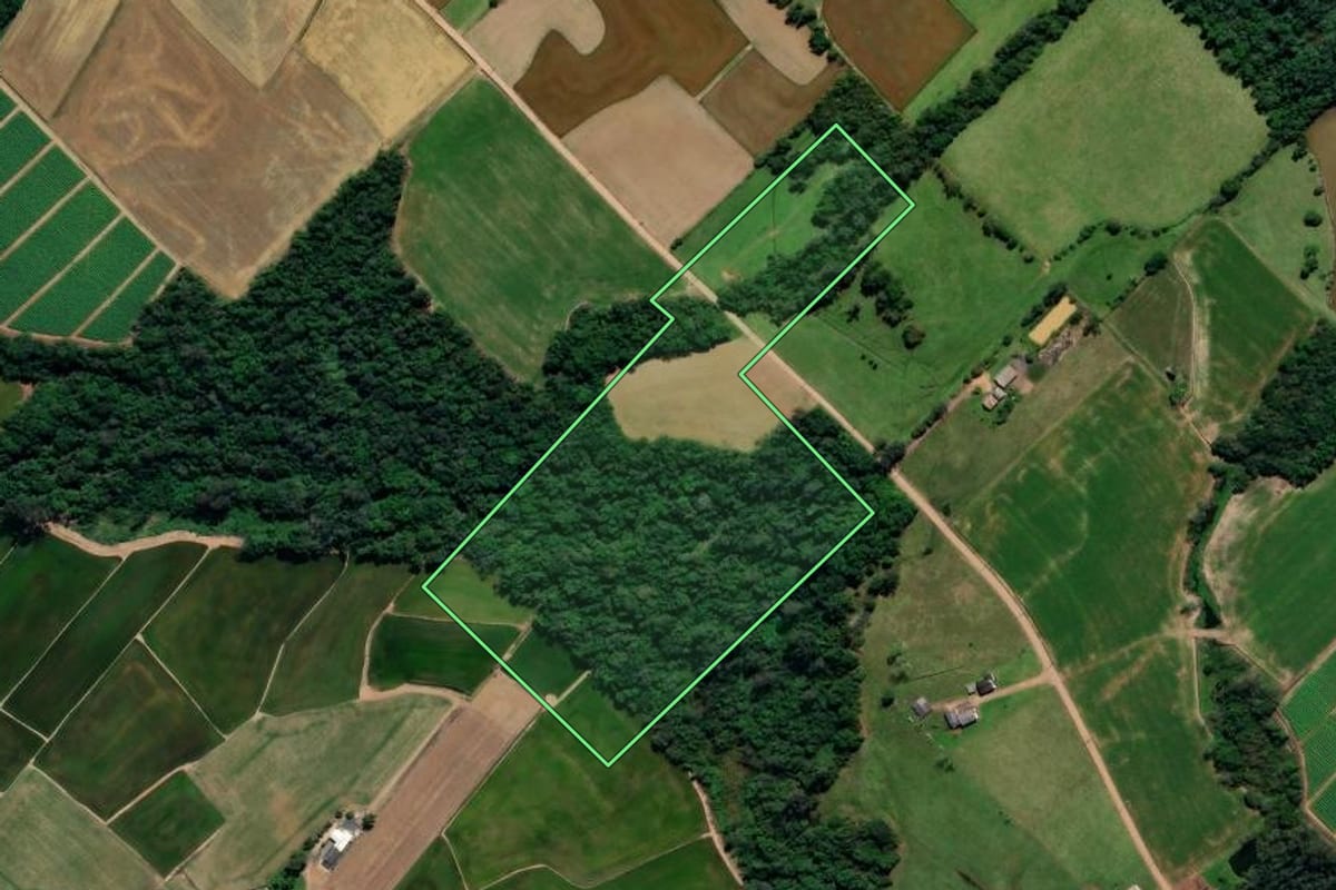 Imagem de satélite do imóvel rural em Forquilhinha (SC), com o contorno declarado no CAR desenhado por cima.