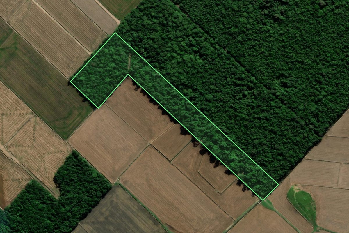 Imagem de satélite do imóvel rural em Forquilhinha (SC), com o contorno declarado no CAR desenhado por cima.