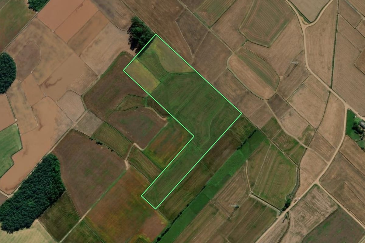 Imagem de satélite do imóvel rural em Forquilhinha (SC), com o contorno declarado no CAR desenhado por cima.