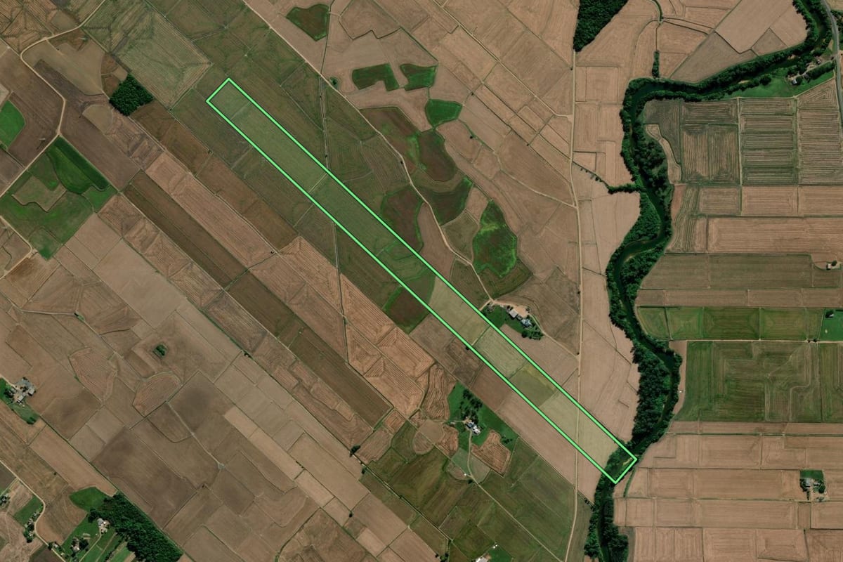 Imagem de satélite do imóvel rural em Forquilhinha (SC), com o contorno declarado no CAR desenhado por cima.