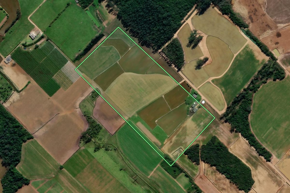 Imagem de satélite do imóvel rural em Forquilhinha (SC), com o contorno declarado no CAR desenhado por cima.