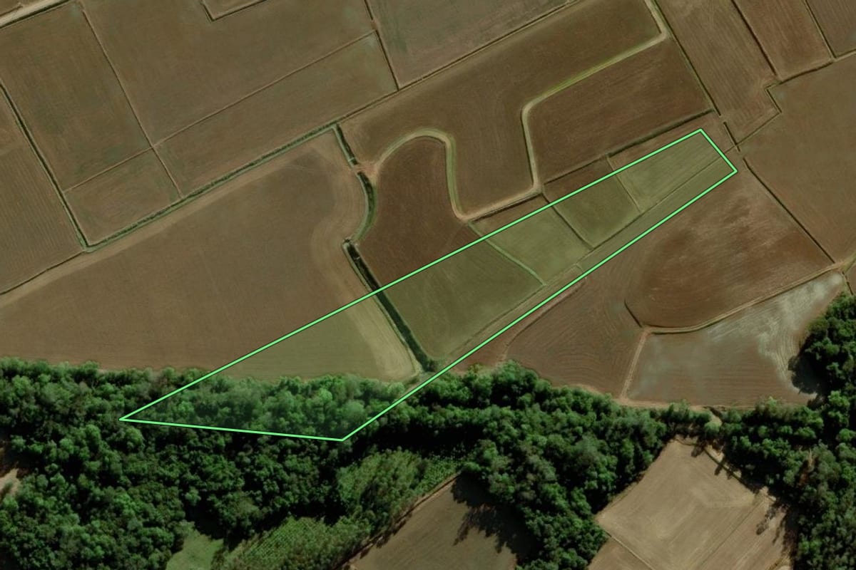 Imagem de satélite do imóvel rural em Forquilhinha (SC), com o contorno declarado no CAR desenhado por cima.
