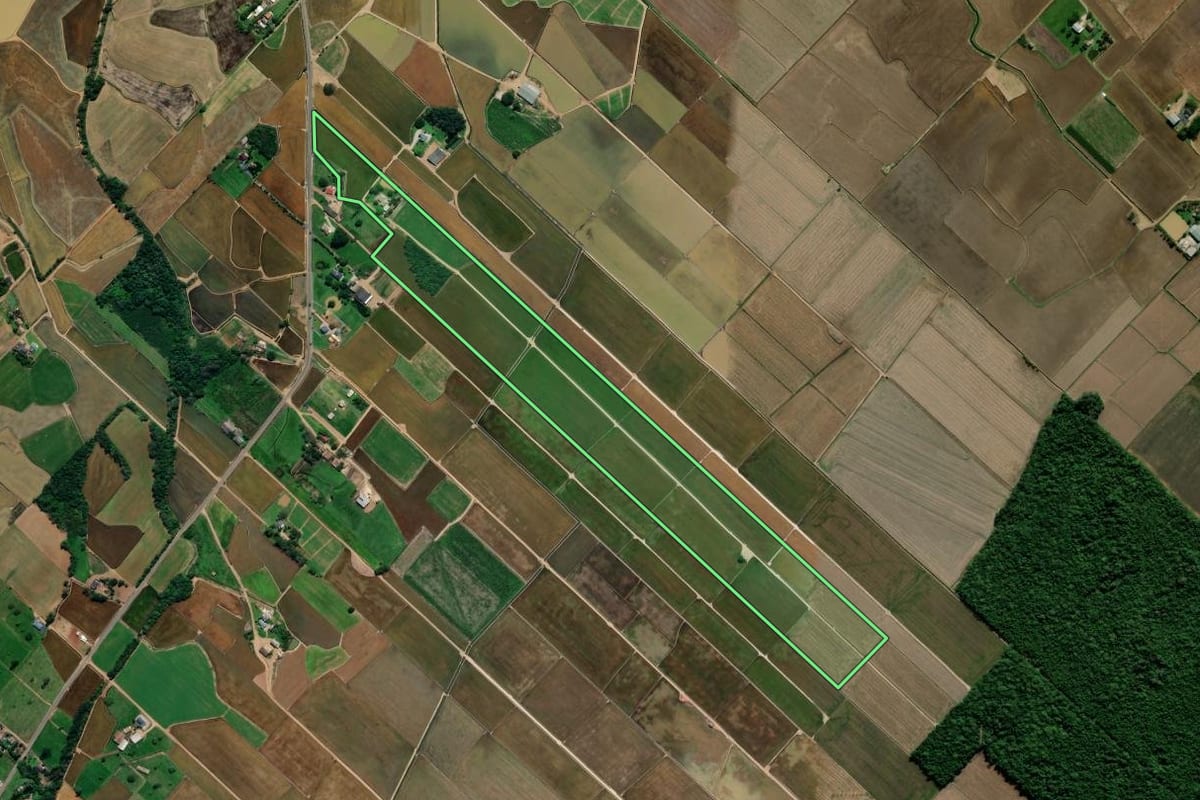Imagem de satélite do imóvel rural em Forquilhinha (SC), com o contorno declarado no CAR desenhado por cima.