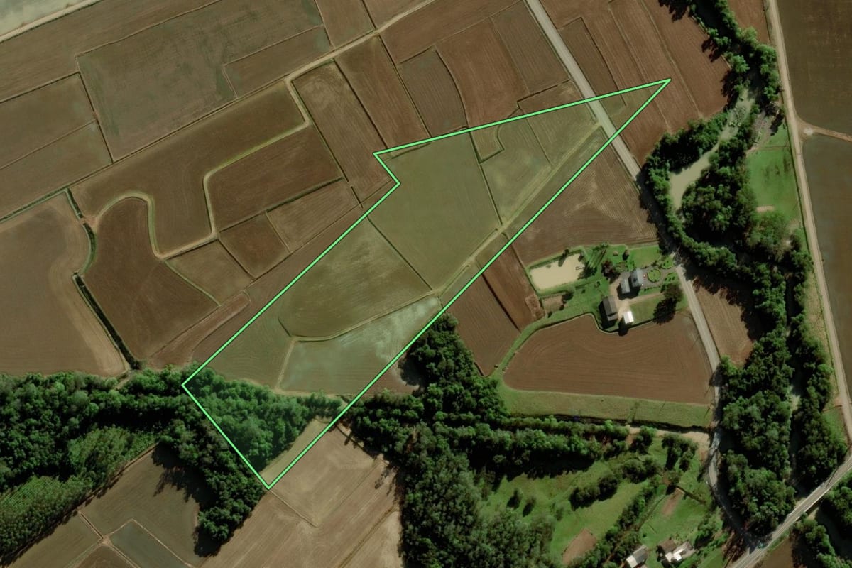 Imagem de satélite do imóvel rural em Forquilhinha (SC), com o contorno declarado no CAR desenhado por cima.