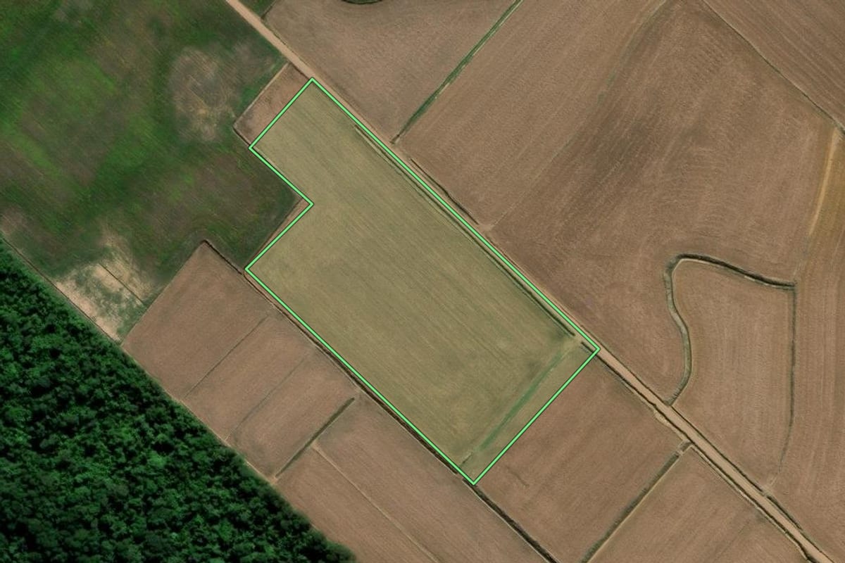 Imagem de satélite do imóvel rural em Forquilhinha (SC), com o contorno declarado no CAR desenhado por cima.