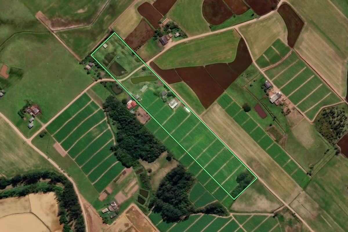 Imagem de satélite do imóvel rural em Forquilhinha (SC), com o contorno declarado no CAR desenhado por cima.