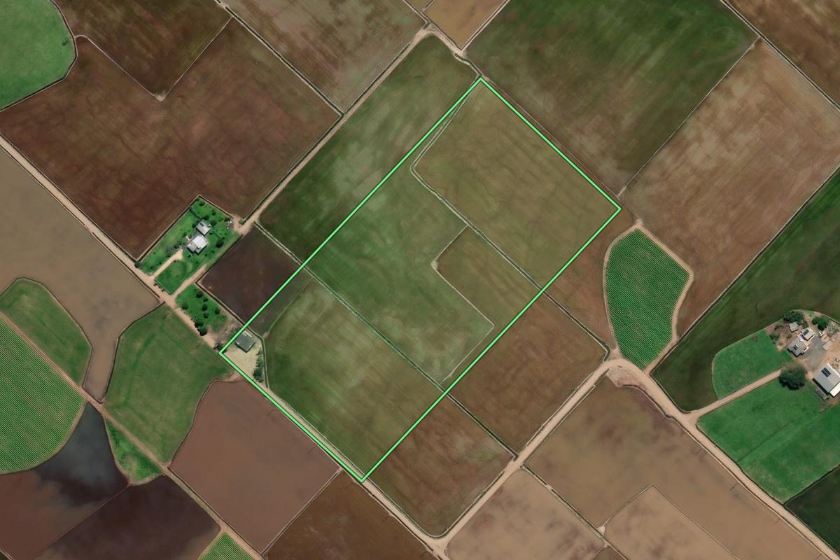 Imagem de satélite do imóvel rural em Forquilhinha (SC), com o contorno declarado no CAR desenhado por cima.
