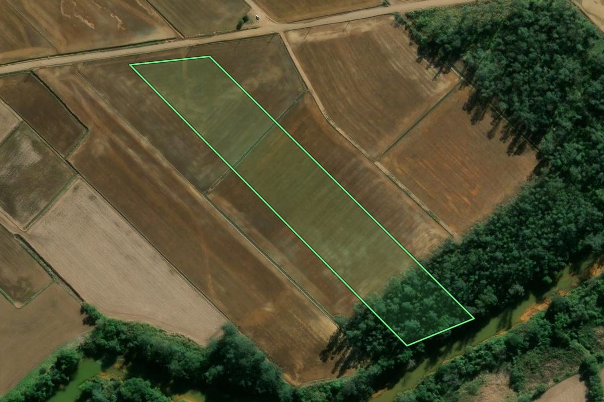 Imagem de satélite do imóvel rural em Forquilhinha (SC), com o contorno declarado no CAR desenhado por cima.