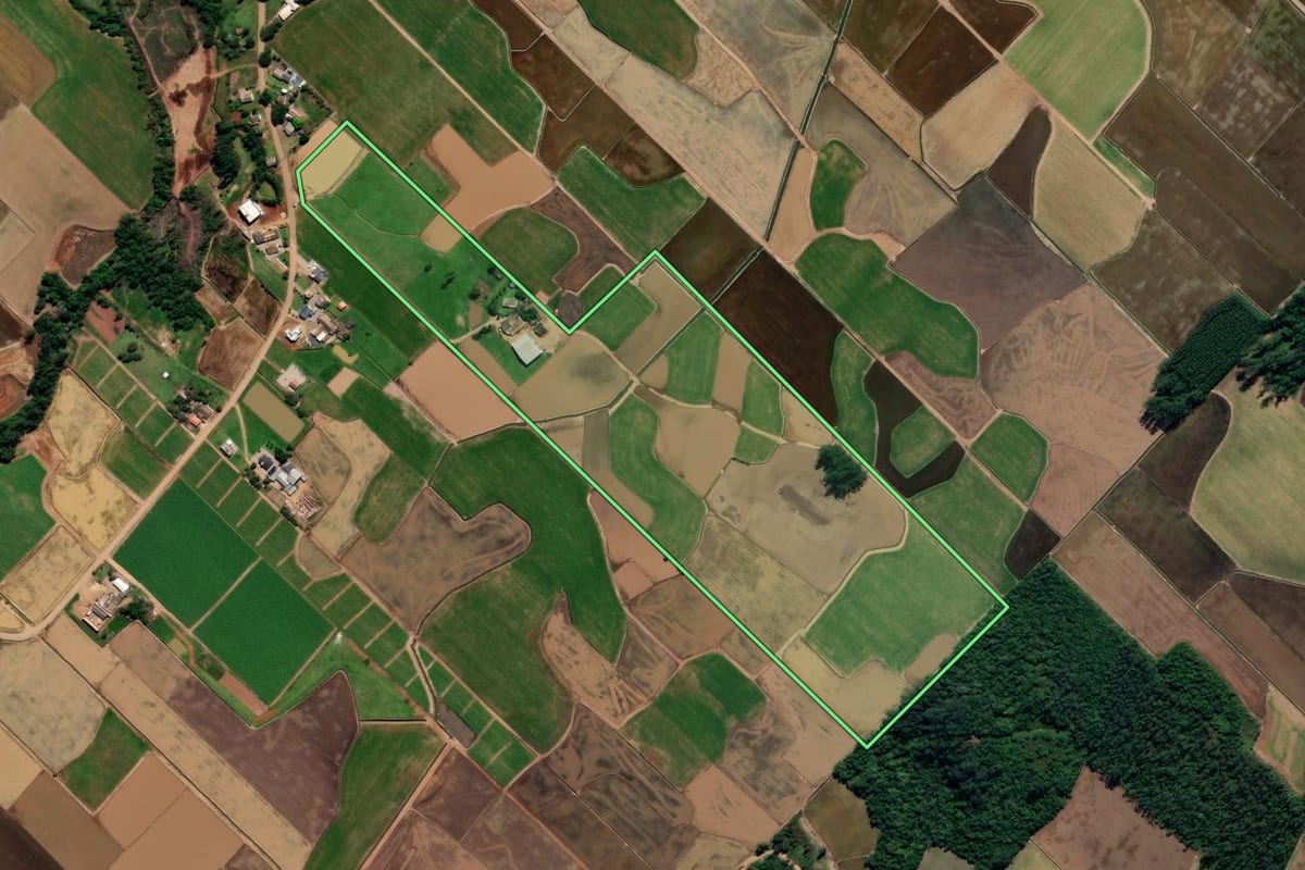 Imagem de satélite do imóvel rural em Forquilhinha (SC), com o contorno declarado no CAR desenhado por cima.