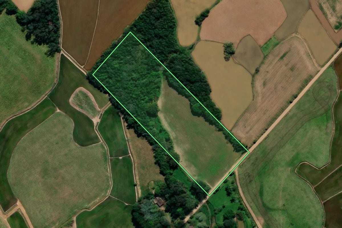 Imagem de satélite do imóvel rural em Forquilhinha (SC), com o contorno declarado no CAR desenhado por cima.