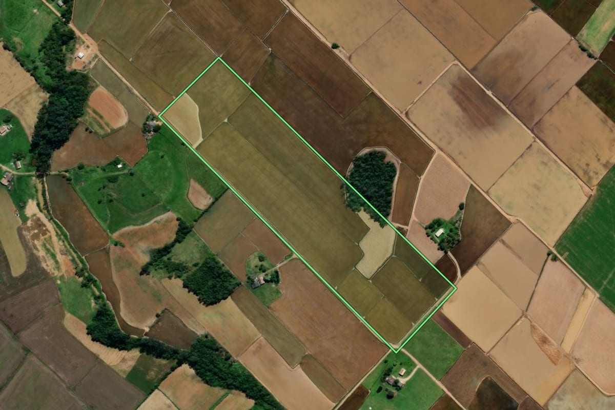 Imagem de satélite do imóvel rural em Forquilhinha (SC), com o contorno declarado no CAR desenhado por cima.