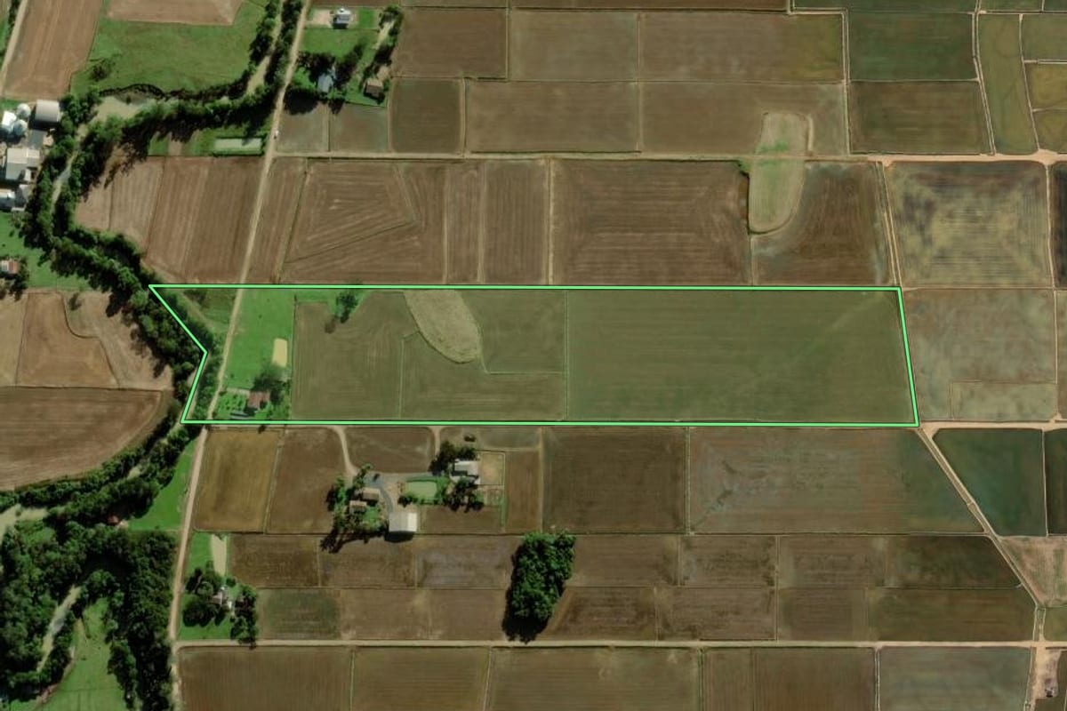 Imagem de satélite do imóvel rural em Forquilhinha (SC), com o contorno declarado no CAR desenhado por cima.