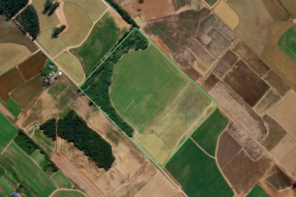 Imagem de satélite do imóvel rural em Forquilhinha (SC), com o contorno declarado no CAR desenhado por cima.