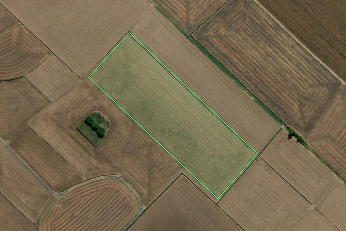 Imagem de satélite do imóvel rural em Forquilhinha (SC), com o contorno declarado no CAR desenhado por cima.
