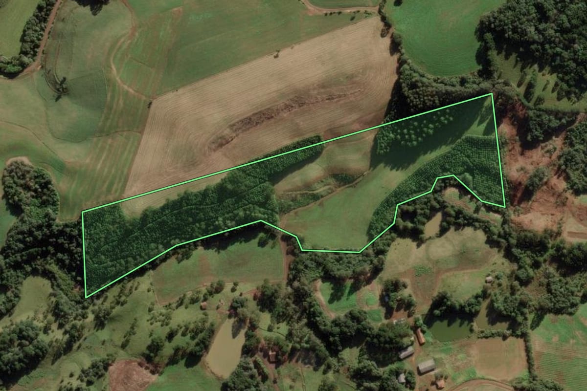 Imagem de satélite do imóvel rural em Fraiburgo (SC), com o contorno declarado no CAR desenhado por cima.