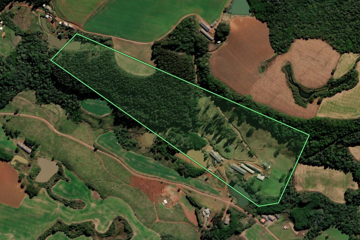 Imagem de satélite do imóvel rural em Fraiburgo (SC), com o contorno declarado no CAR desenhado por cima.