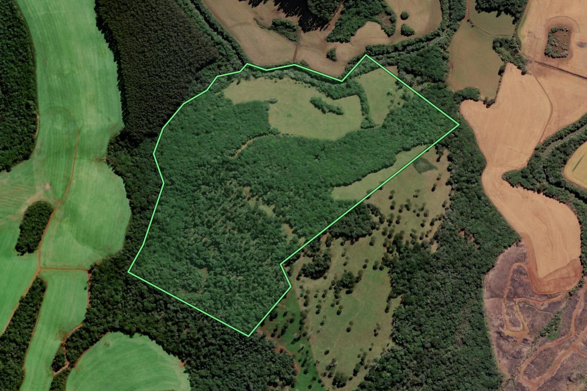 Imagem de satélite do imóvel rural em Fraiburgo (SC), com o contorno declarado no CAR desenhado por cima.