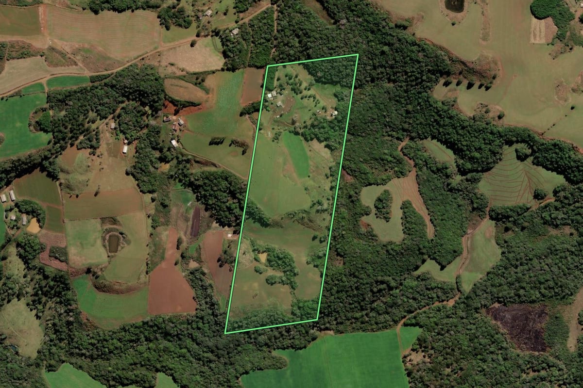 Imagem de satélite do imóvel rural em Fraiburgo (SC), com o contorno declarado no CAR desenhado por cima.
