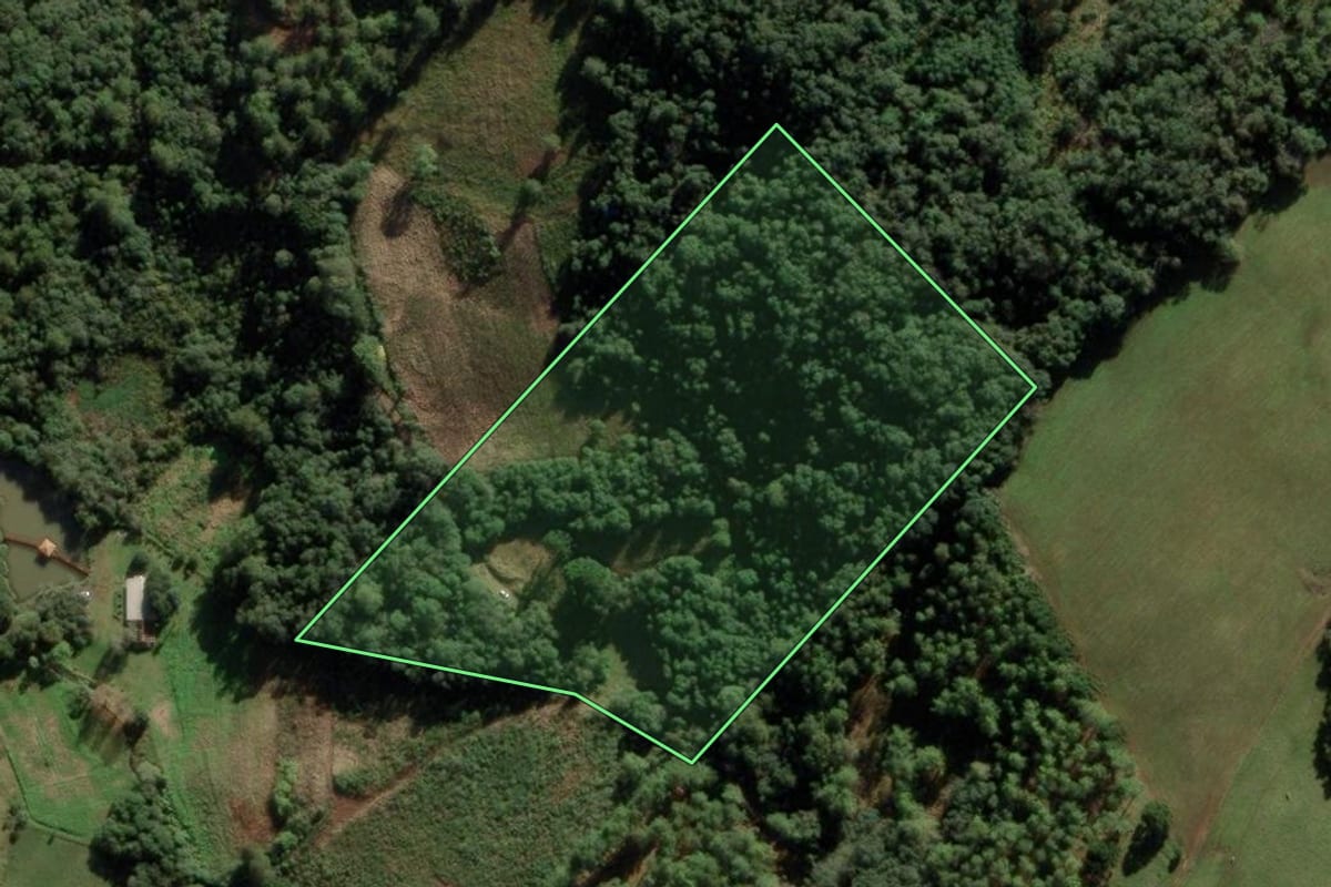 Imagem de satélite do imóvel rural em Fraiburgo (SC), com o contorno declarado no CAR desenhado por cima.